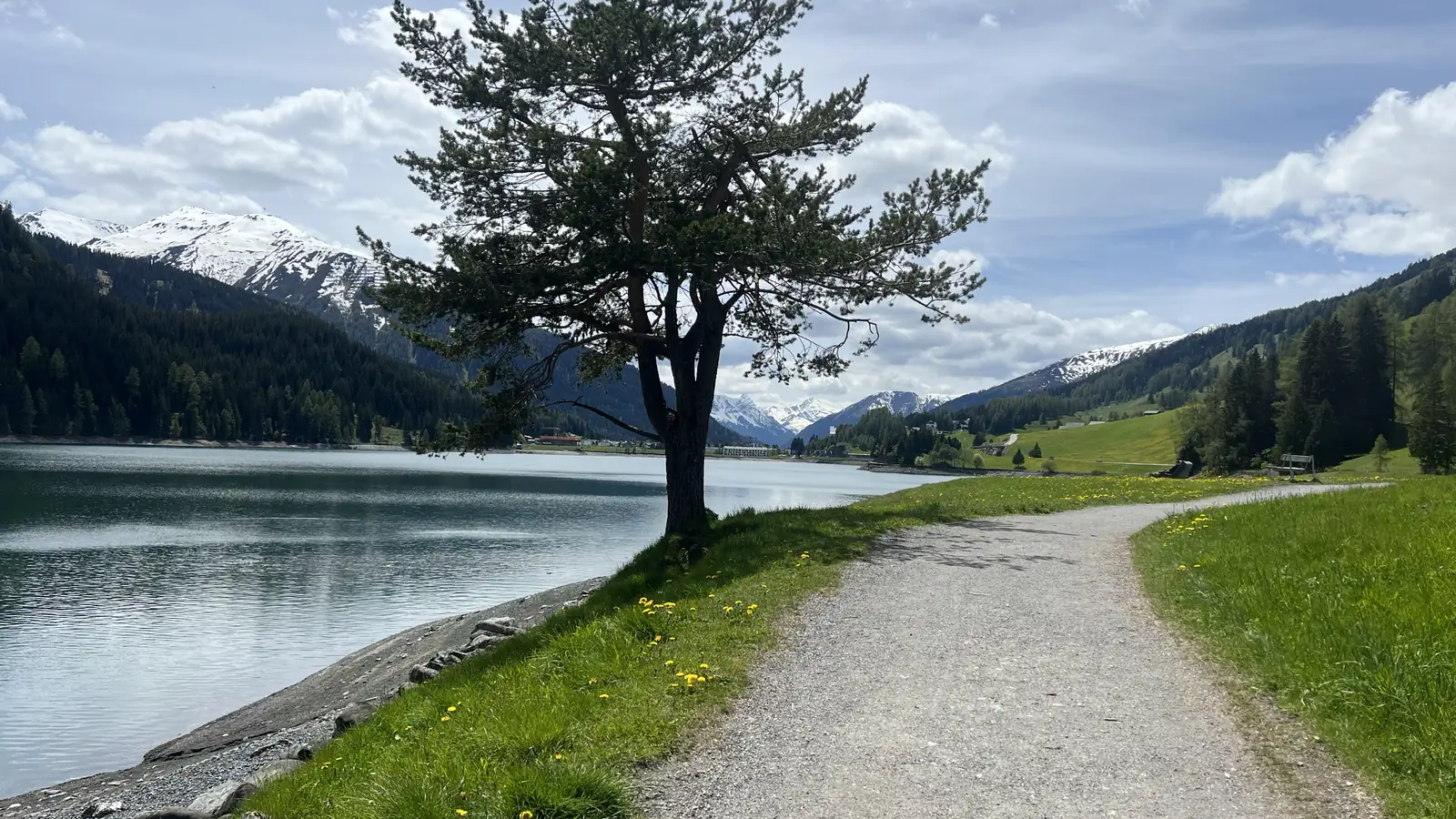 Blick über Davos im Sommer von einer Bank am Höhenweg