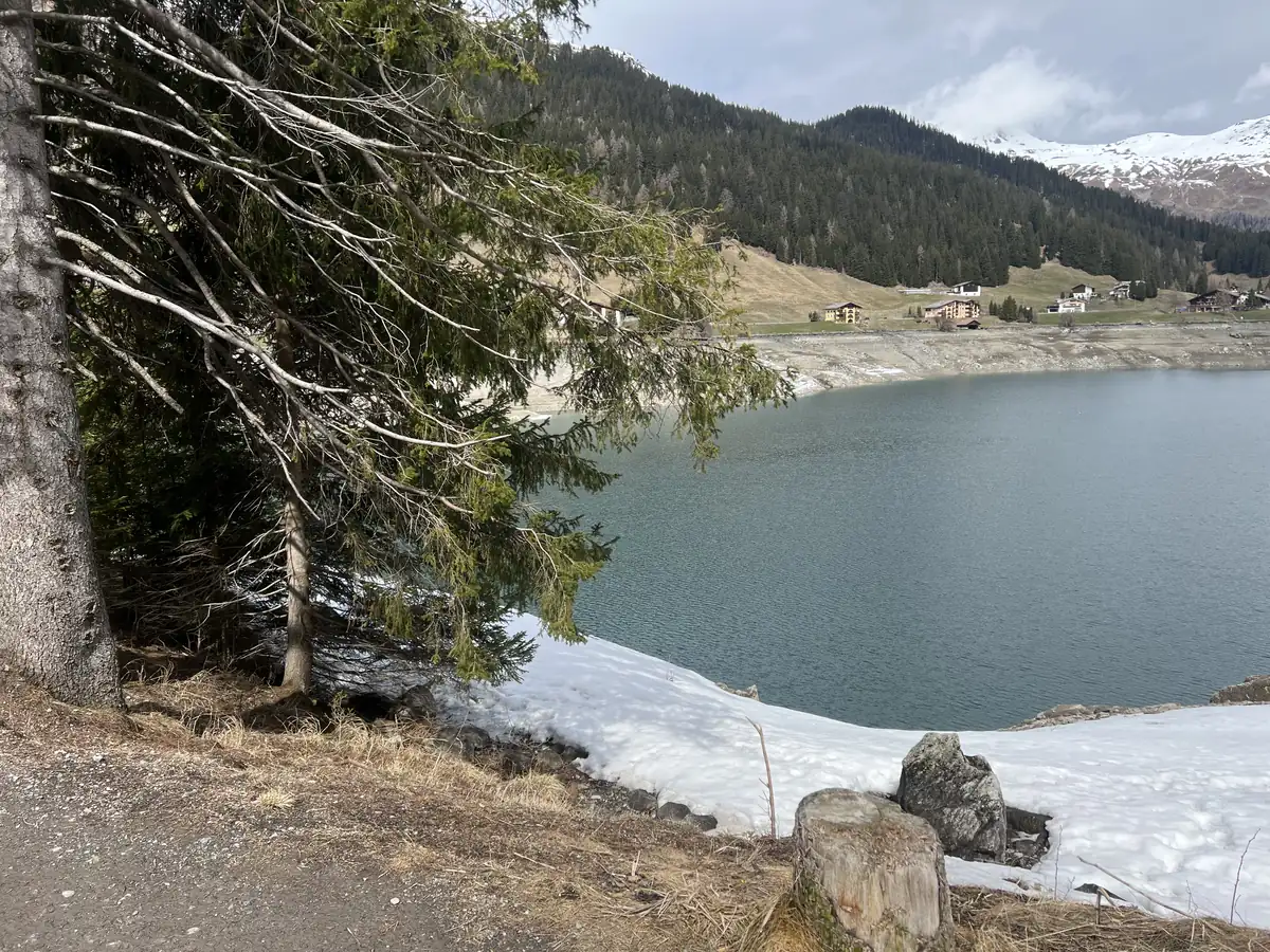 Der Davosersee im Sommer